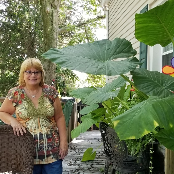 Meet your Posher, Deb - Picture 8 of 16